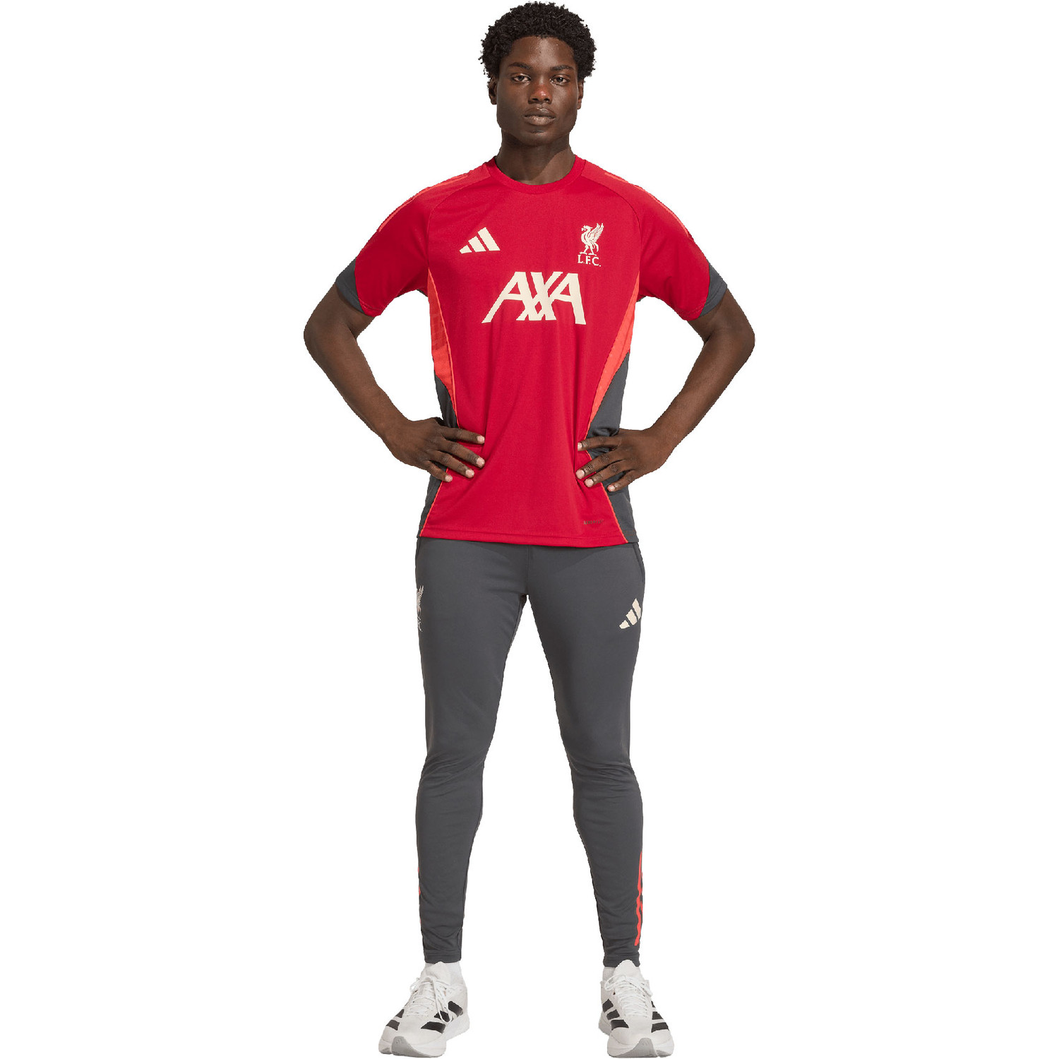 adidas Liverpool TK Hoody Tracksuit 2025/2026 - PassaSports.com