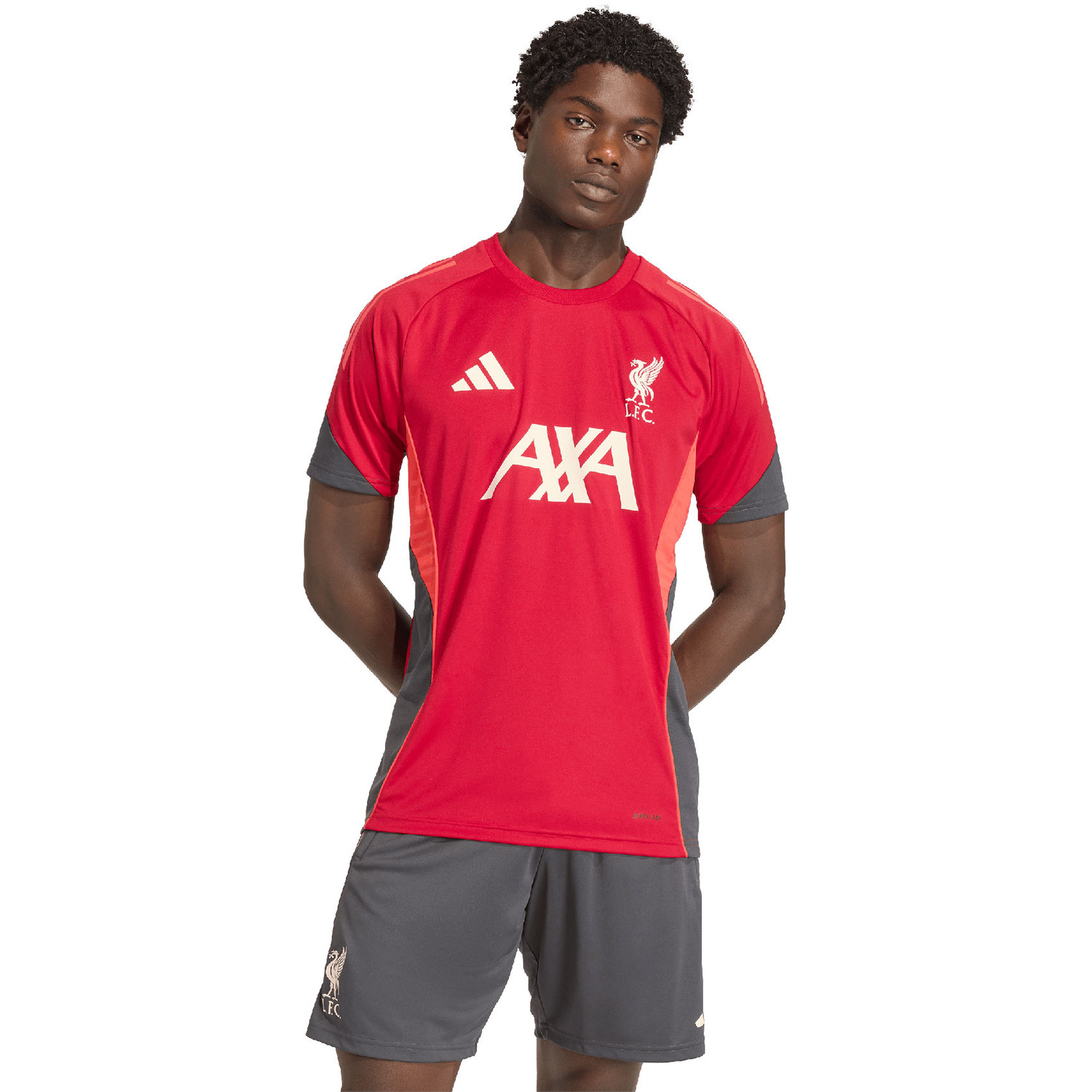 adidas Liverpool Training Shirt 2025/2026 - PassaSports.com