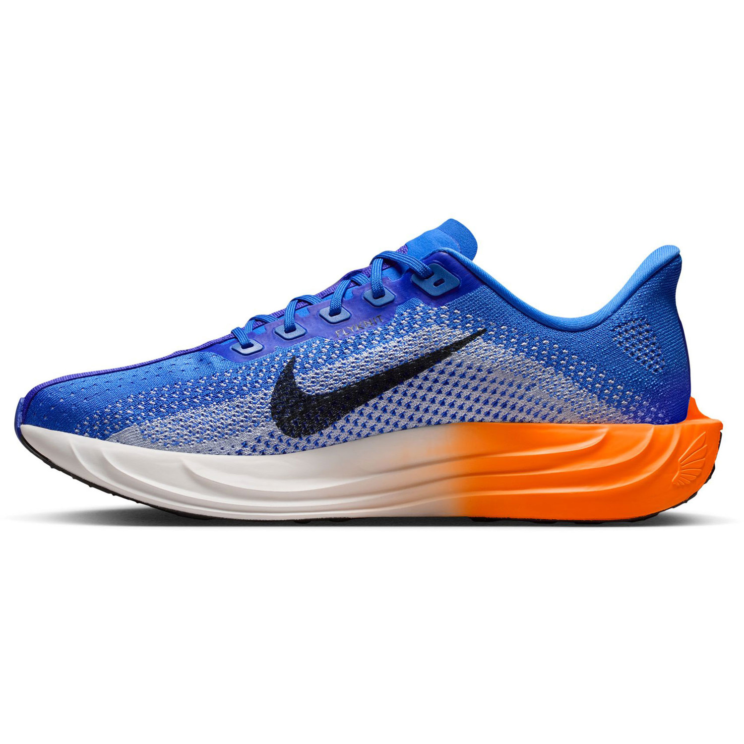 Nike Pegasus Plus Men - PassaSports.com