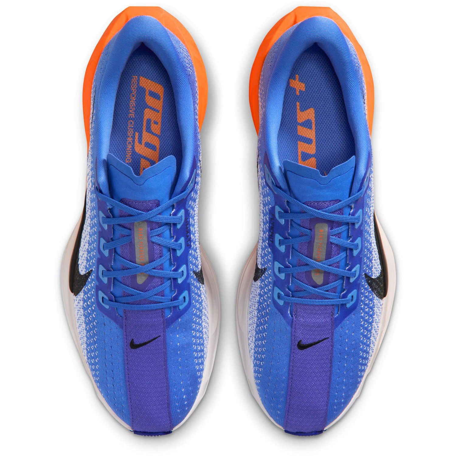 Nike Pegasus Plus Men - PassaSports.com