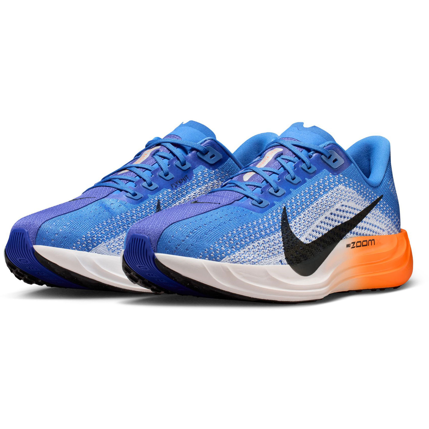 Nike Pegasus Plus Men - PassaSports.com
