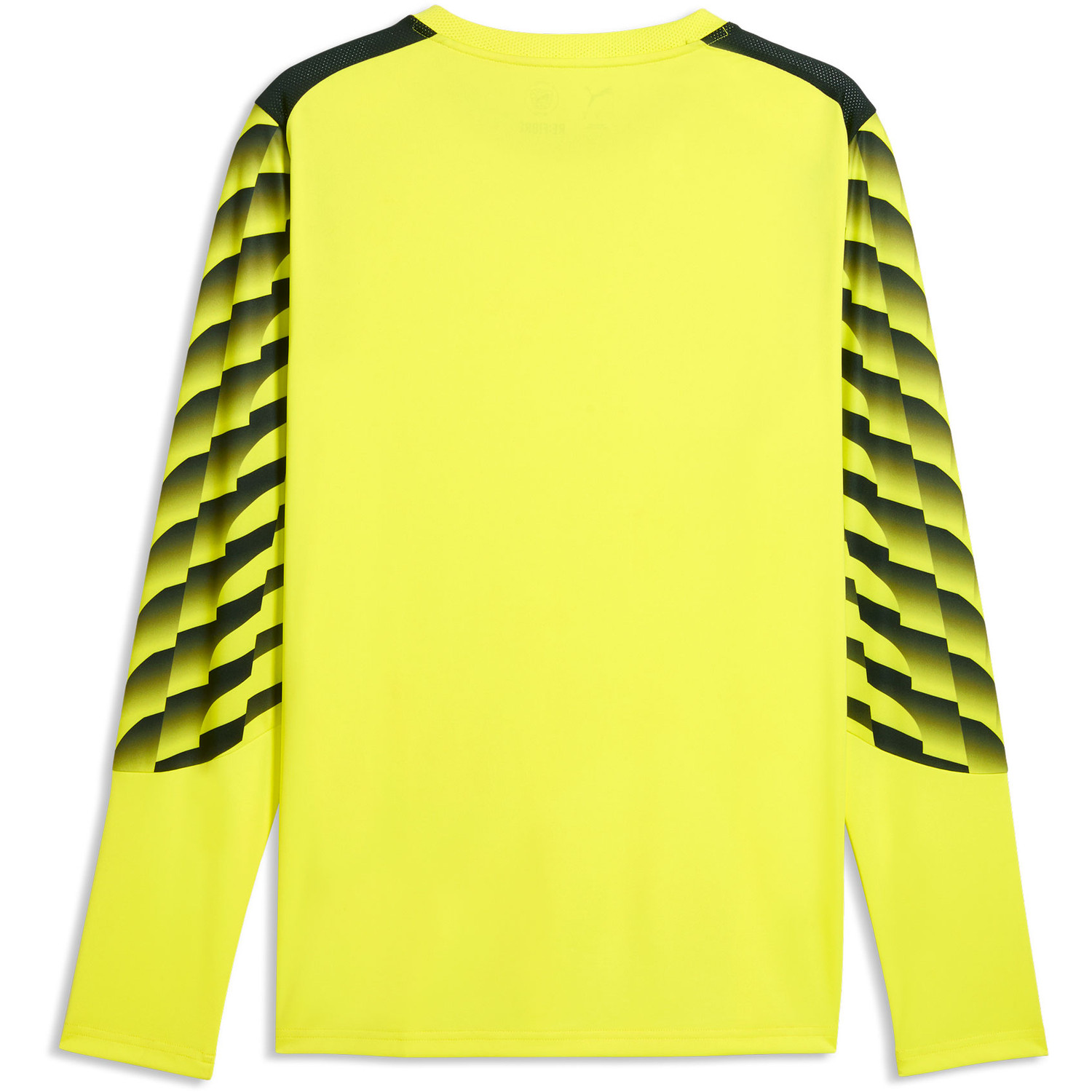 Puma LIGA26 Goalkeeper Shirt Longsleeve - PassaSports.com