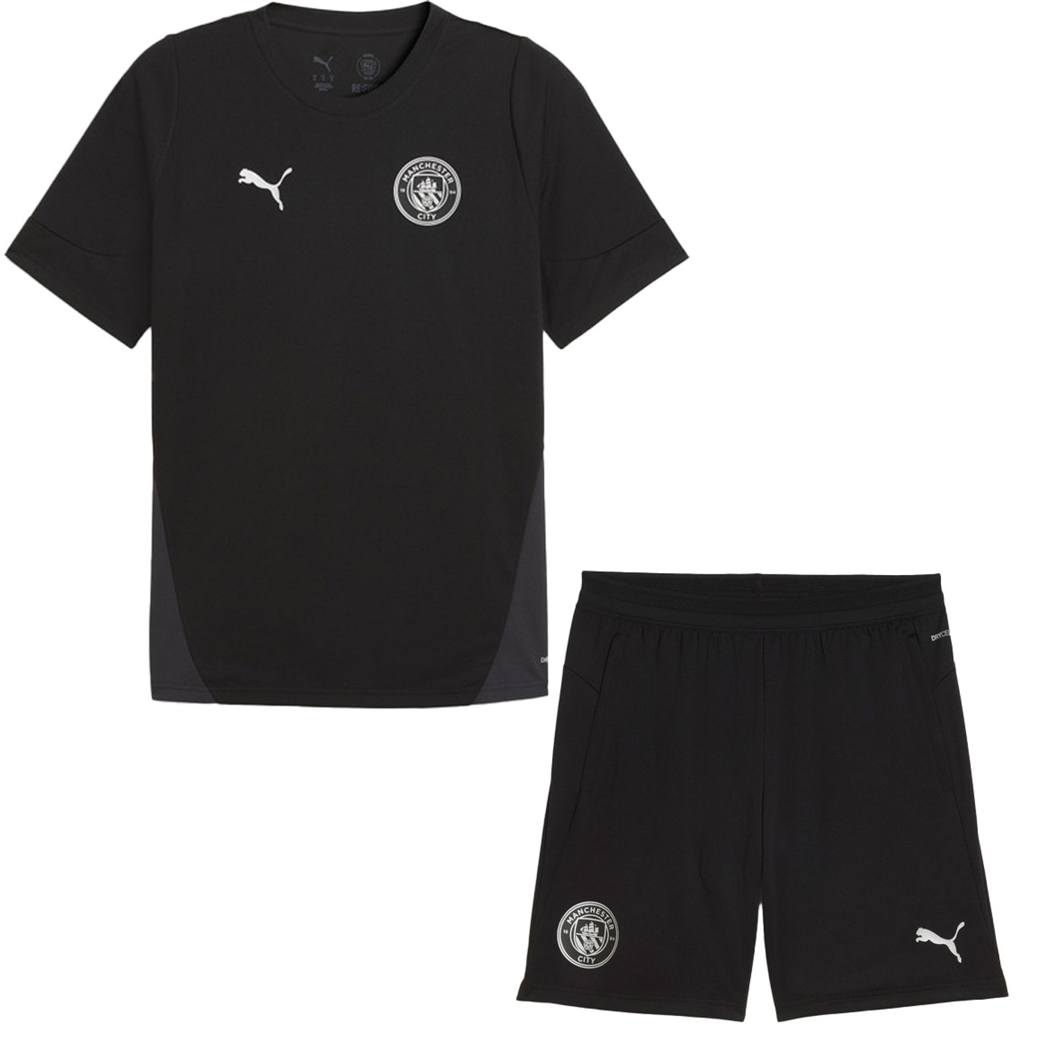 Puma Manchester City Training Set - PassaSports.com