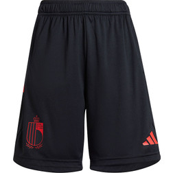 Under Armour Play Up Solid Girls' Shorts 1363372-001