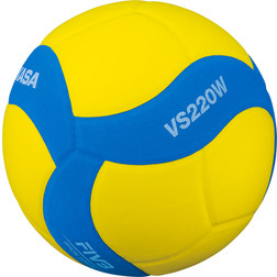 Volleyballs for indoor and beach volleyball Sportshop