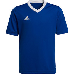Adidas entrada 14 blu outlet