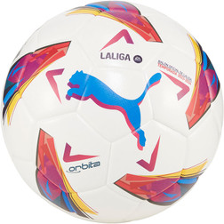 Puma football ball price clearance