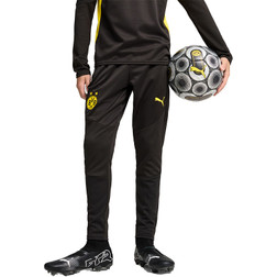 Borussia Dortmund Fanshop Trainingspakken shirts meer Bij VoetbalDirect.be