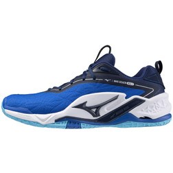 Mizuno handball shoes for men women and children Handballshop