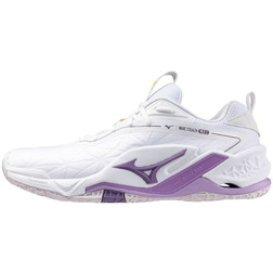 The Mizuno Wave Stealth voor women en men Handballshop