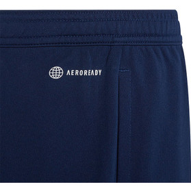 adidas Entrada 22 Training Short Kids