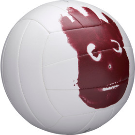 Wilson Castaway