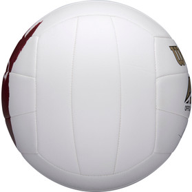 Wilson Castaway