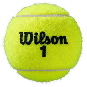 Wilson Roland Garros All Court 24x3 St.