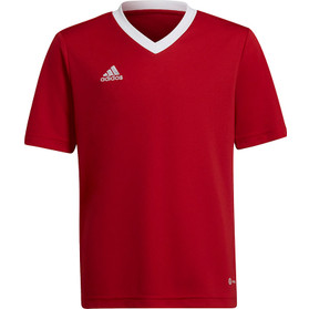 adidas Entrada 22 Träningströja Barn