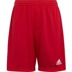 adidas Entrada 22 Training Short Kids