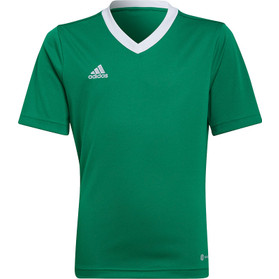 adidas Entrada 22 Träningströja Barn