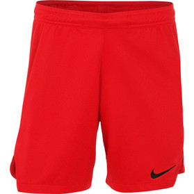 Nike Team Short Heren