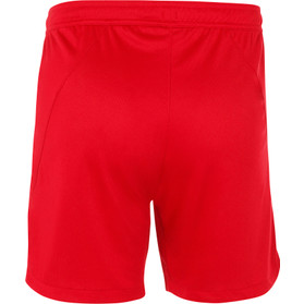 Nike Team Short Heren