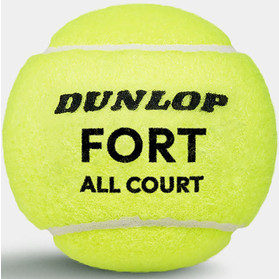 Dunlop Fort All Court TS 3 St.