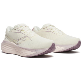 Saucony Triumph 22 Dam