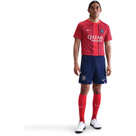 Nike Paris Saint-Germain PM T-shirt 2025/2026