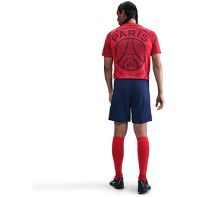Nike Paris Saint-Germain PM T-shirt 2025/2026