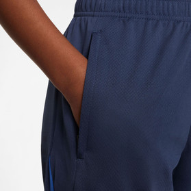 Nike Paris Saint-Germain Strike Shorts Barn
