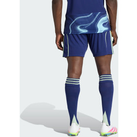 adidas Ajax Bortashorts 2025/2026