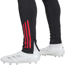 adidas Ajax Träningsbyxor 2025/2026