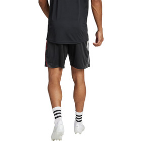 adidas Ajax Träningsshorts 2025/2026