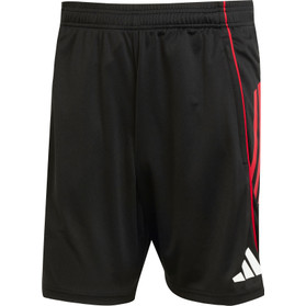 adidas Ajax Träningsshorts 2025/2026