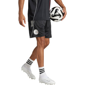 adidas Ajax Träningsshorts 2025/2026