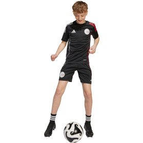 adidas Ajax Träningströja Barn 2025/2026