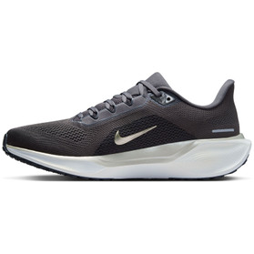 Nike Pegasus 41 JI Heren