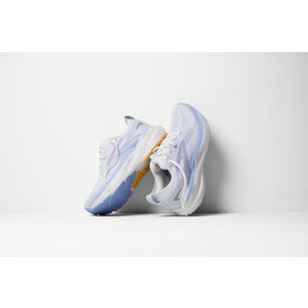 Brooks Glycerin GTS 22 Dames