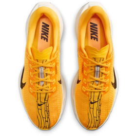 Nike Pegasus Plus Heren