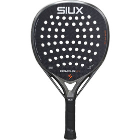 Siux Pegasus Pro 2026