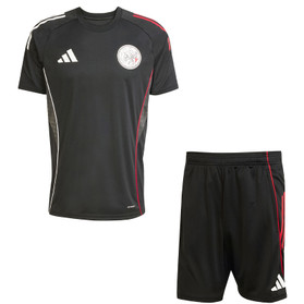 adidas Ajax Träningsset