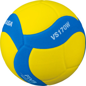 Volleyballs for indoor and beach volleyball Sportshop
