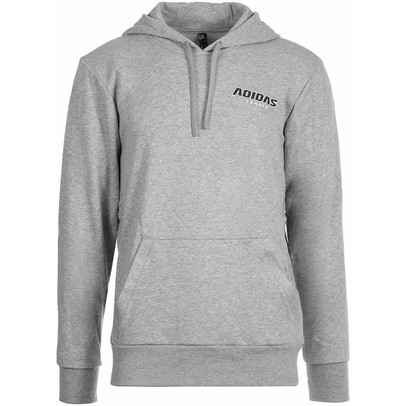 adidas Category Graphic Hoody