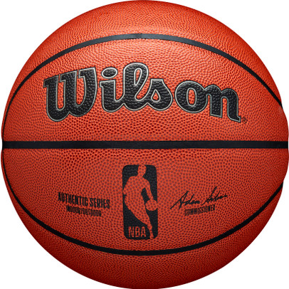 Wilson NBA Authentic In/Outdoor