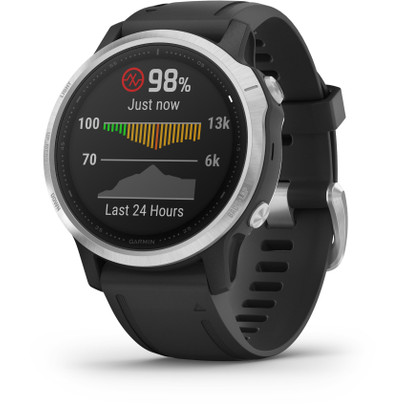Garmin Fenix 6S Silver