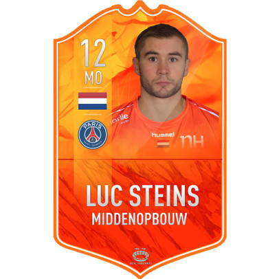 Fancard Luc Steins No. 12