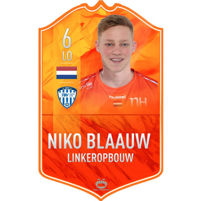 Fancard Niko Blaauw No. 6