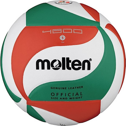 Molten V5M4800 Volleybal