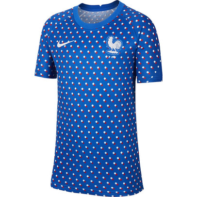 Nike Frankrijk Pre-Match Shirt