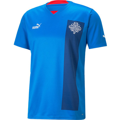 Puma IJsland Thuis Shirt 2022/2023