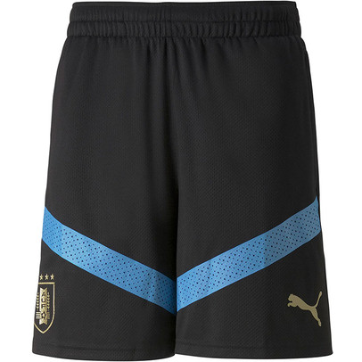Puma uruguay top