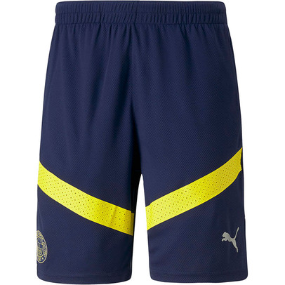 Puma Fenerbahce Training Short 2022/2023